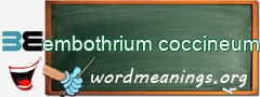 WordMeaning blackboard for embothrium coccineum